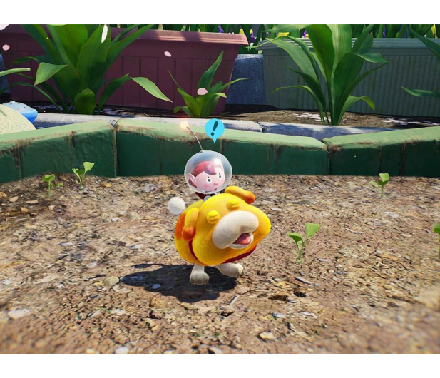 Switch Pikmin 4 + Dandori academy - 1597143 - zdjęcie 2